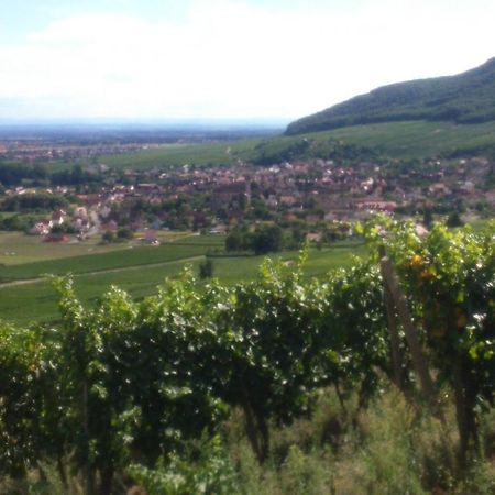 Gites & Chambes D'Hotes Fugler Orschwihr Екстер'єр фото