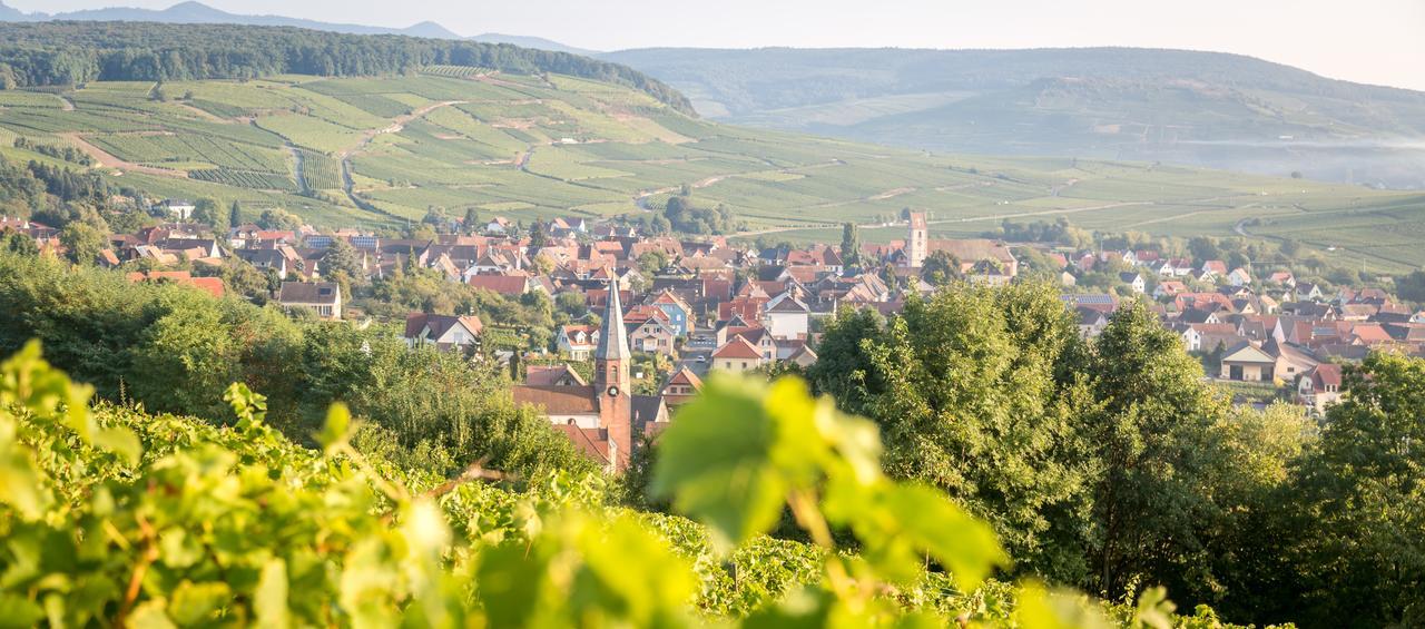 Gites & Chambes D'Hotes Fugler Orschwihr Екстер'єр фото